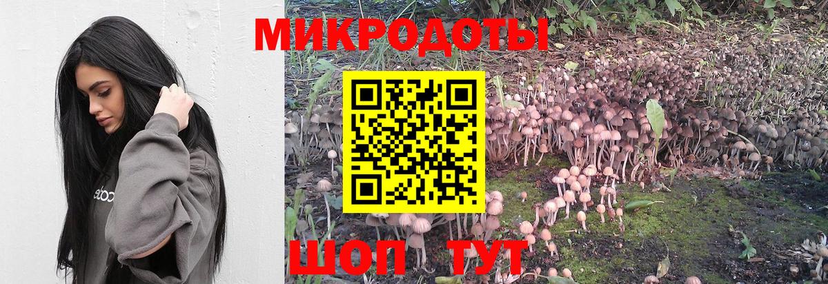 Галлюциногенные грибы ЛСД  Вход с VPN  Кизляр 