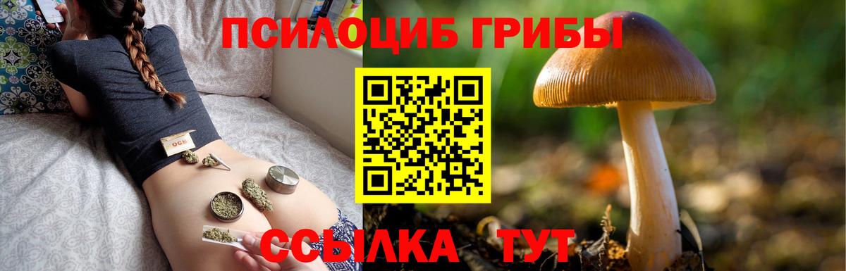 Псилоцибиновые грибы GOLDEN TEACHER Кизляр